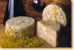 with oregano with oregano